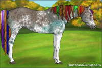 Horse Color:Gray Painted White Spotted Liver Red Dun Ice 