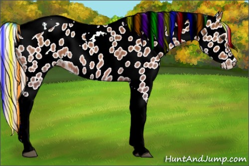 Horse Color:Painted Silver Bay Tobiano Leopard Rabicano