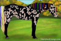 Horse Color:Painted Silver Bay Tobiano Leopard Rabicano 