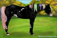 Horse Color:Gray Painted Silver Amber Champagne Tobiano Appaloosa 