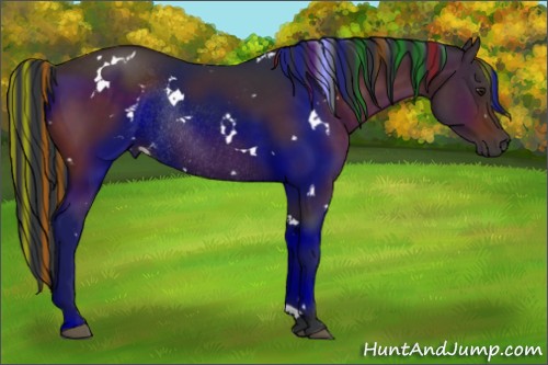 Horse Color:Painted White Spotted Brown Rabicano