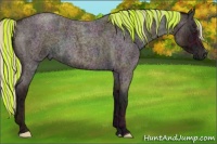 Horse Color:Painted Midnight Silver Bay Ice Roan 