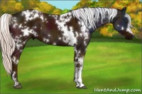 Horse Color:White Spotted Midnight Silver Bay 