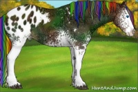 Horse Color:Painted White Spotted Chestnut Ice Splash Appaloosa
