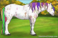 Horse Color:Painted White Spotted Silver Brown Ice Dun Appaloosa 