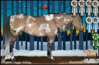 Horse Color:White Spotted Brown Dun Rabicano 
