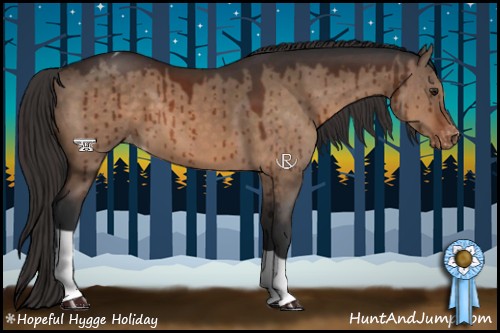 Horse Color:Brown Dun Appaloosa