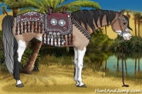 Horse Color:Bay Dun and Bay Dun Splash