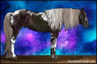 Horse Color:Chocolate Palomino Ice Tobiano 