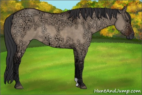 Horse Color:Brown Ice Dun Rabicano 