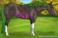 Horse Color:Gray Watercolor Bay Ice