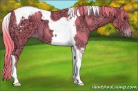 Horse Color:Watercolor Liver Chestnut Ice Tobiano Varnish 