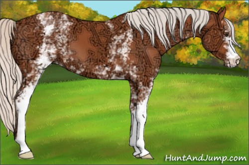 Horse Color:White Spotted Silver Brown Ice