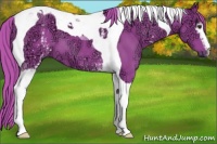 Horse Color:Watercolor White Spotted Liver Chestnut Ice Tobiano