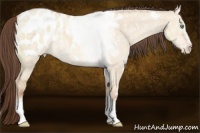 Horse Color:White Spotted Sable Champagne Ice Roan Dun Appaloosa Rabicano