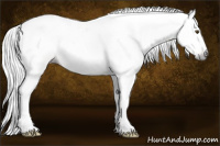 Horse Color:Gray Silver Brown Roan Tobiano Appaloosa 