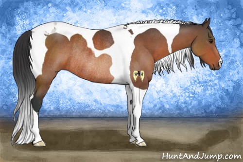 Horse Color:Brown Tobiano Rabicano