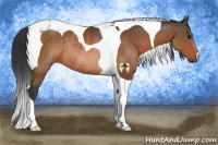 Horse Color:Brown Tobiano Rabicano 