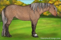 Horse Color:Brown Dun  and Silver Brown Dun 