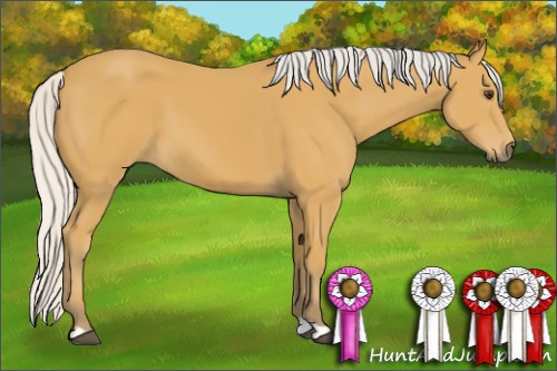 Horse Color:Silver Buckskin