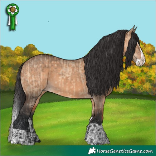 Horse Color:Brown Dun  and Brown Dun Splash 