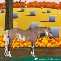 Horse Color:White Spotted Bay Dun and Liver Red Dun Mushroom