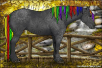 Horse Color:Painted Black 