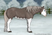 Horse Color:Silver Black Splash 