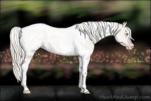 Horse Color:Silver Classic Champagne Dun Tobiano