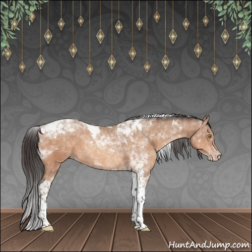 Horse Color:Sable Champagne Tobiano