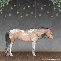 Horse Color:Sable Champagne Tobiano
