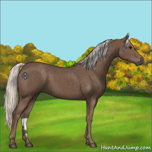 Horse Color:Silver Black 