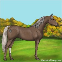 Horse Color:Silver Black
