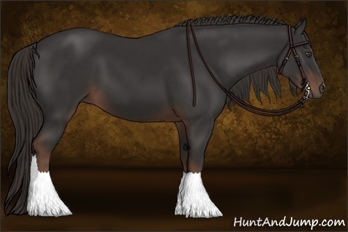 Horse Color:Liver Chestnut  and Liver Chestnut 