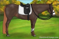 Horse Color:Liver Chestnut  and Liver Chestnut 
