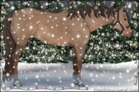 Horse Color:Liver Red Dun 