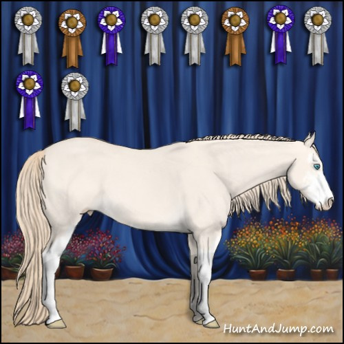 Horse Color:Perlino Dun Sabino 