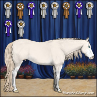 Horse Color:Perlino Dun Sabino 