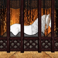 Horse Color:White Spotted Gold Champagne Appaloosa 