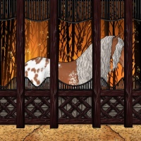 Horse Color:White Spotted Silver Bay Appaloosa