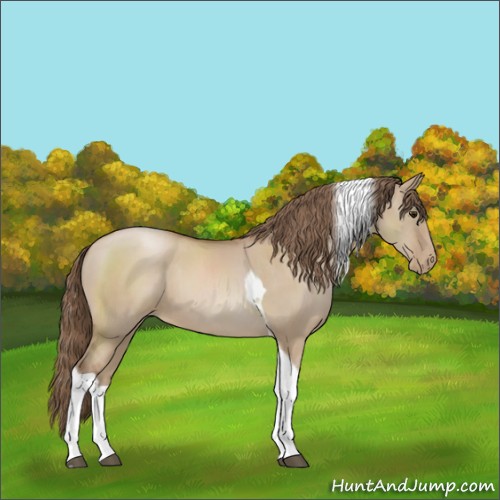 Horse Color:Grullo Pearl Sabino Tobiano