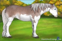 Horse Color:Platinum Silver Bay Splash Appaloosa 