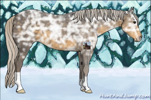 Horse Color:Silver Smoky Black Ice 