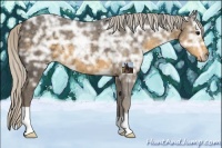 Horse Color:Silver Smoky Black Ice 