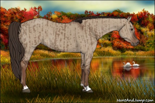 Horse Color:Liver Red Dun  and Liver Red Dun 