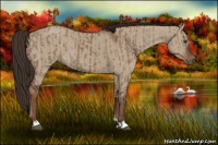 Horse Color:Liver Red Dun  and Liver Red Dun 