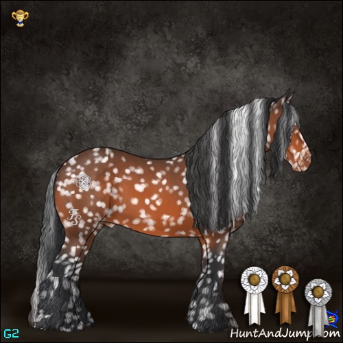 Horse Color:Bay Snowflake Varnish