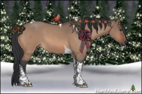 Horse Color:Bay Roan Dun Tobiano