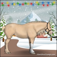 Horse Color:Gold Champagne 