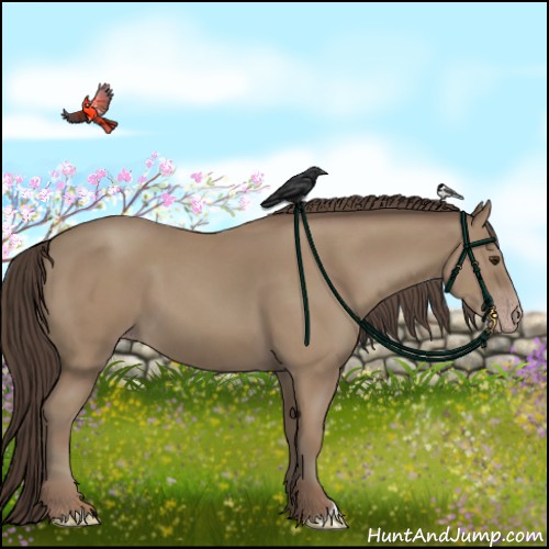 Horse Color:Classic Champagne